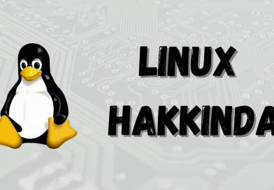 Linux / Embedded Linux Hakkında